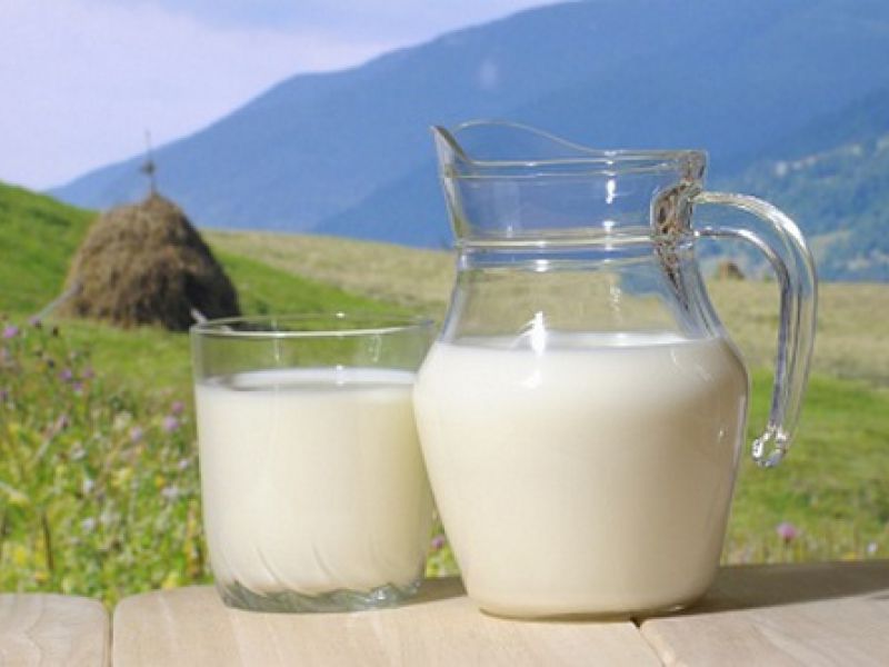 Крым просит Москву открыть «коридор» для украинского молока