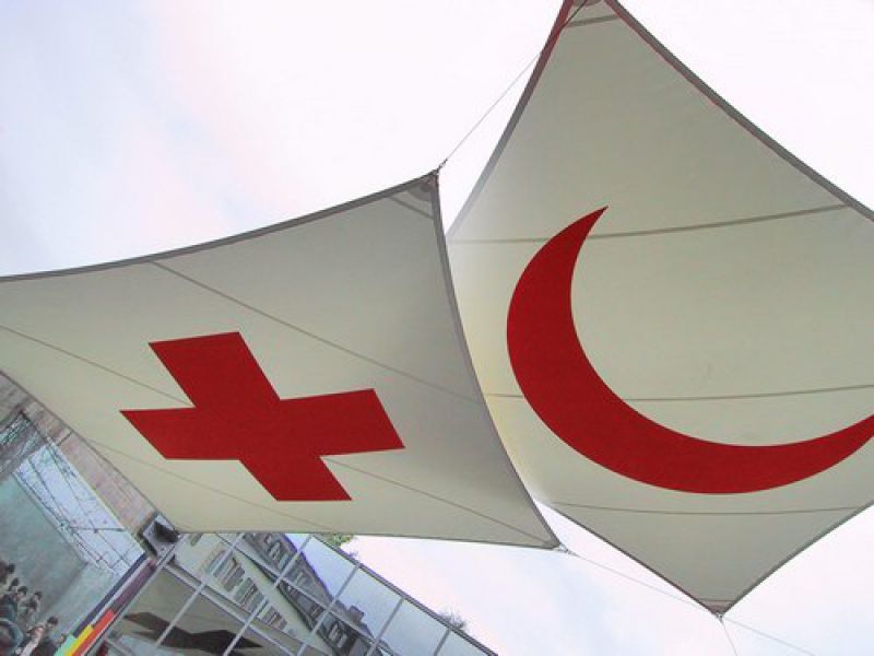 Красный Крест в специальном заявлении разжевывает России, что такое гуманитарка