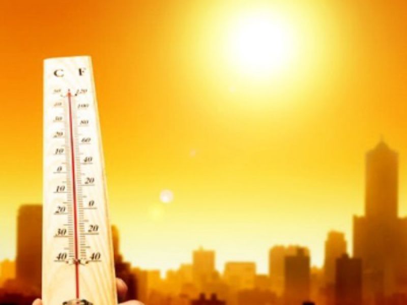 Бесплатные советы: Как пережить жару