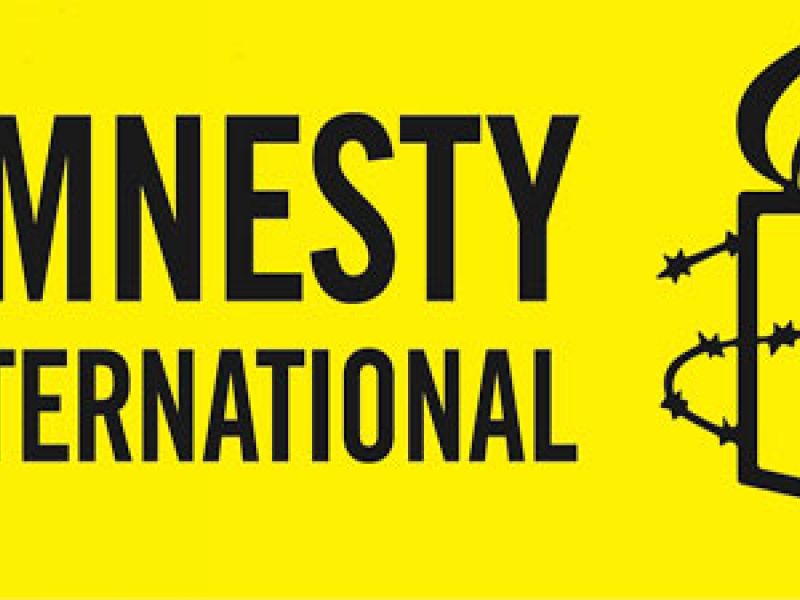 Amnesty International докажет «руку Кремля» в самой Москве