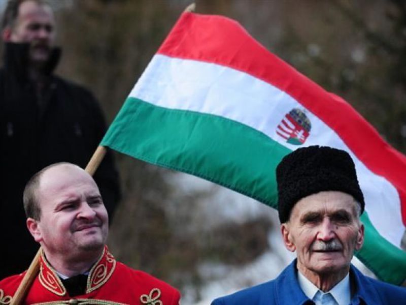 Закарпатские венгры будут добиваться своего представителя в Раде через суд