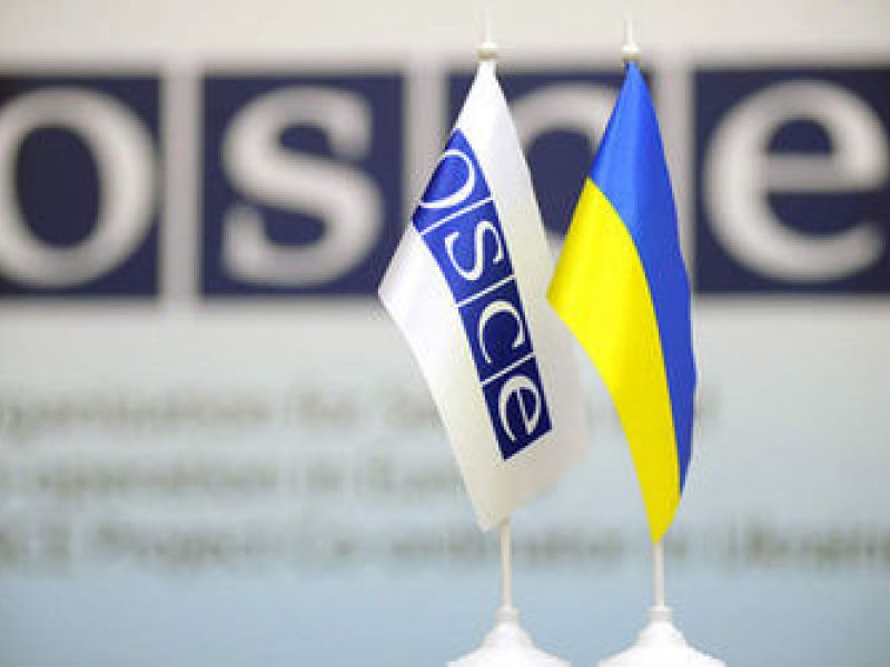 В США жестко раскритиковали ОБСЕ за беззубость в украинском конфликте