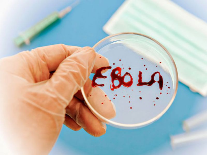 Минздрав: Вероятность попадания Эболы в Украину очень высока