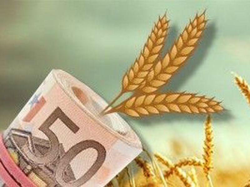 Украина вывезла за границу свыше 6 млн т пшеницы