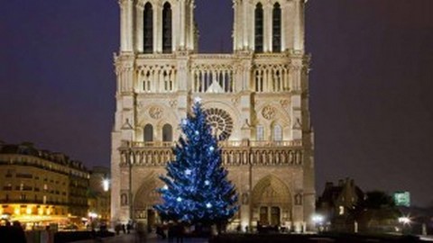 Москва спасла Париж от позора — подарила елку
