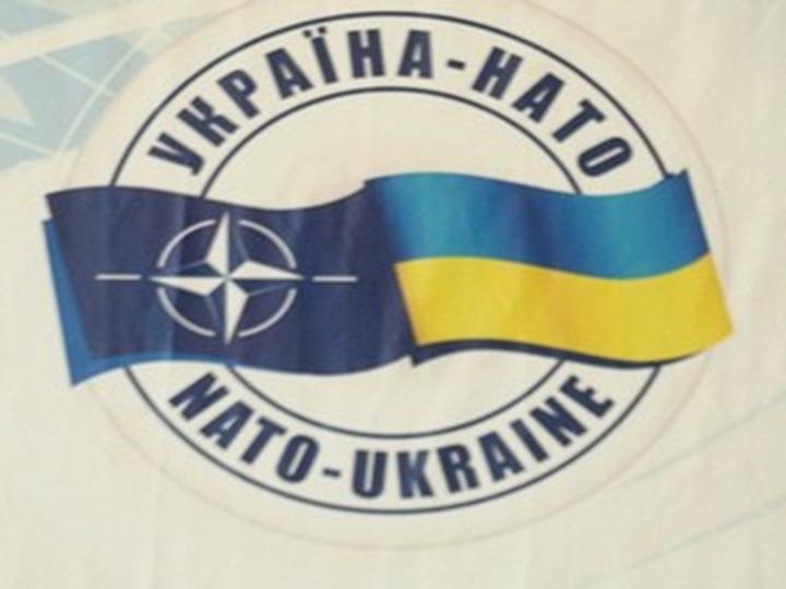 Штайнмайер высказался против вступления Украины в НАТО