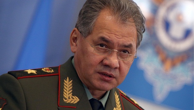 Шойгу отказал Путину вводить в Украину регулярные войска