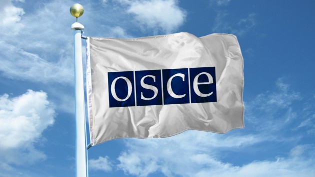 ОБСЕ в зоне АТО строит амбициозные планы