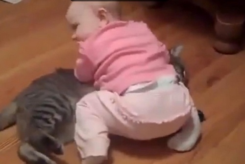 Малыш и кот: животное демонстрирует ангельское терпение. ВИДЕО