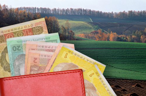Рынок земли: Продать нельзя отложить