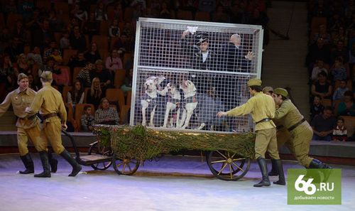 В России для ветеранов цирк переодел несчастных обезьян и собак в нацистов. ФОТО, ВИДЕО