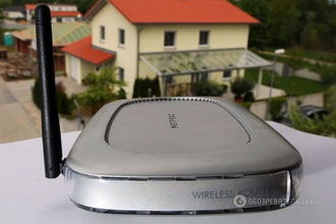 Ученые о Wi-Fi: даже кактусам становится плохо