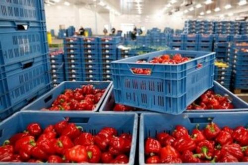 Украина в торговле с ЕС выигрывает на аграрных товарах