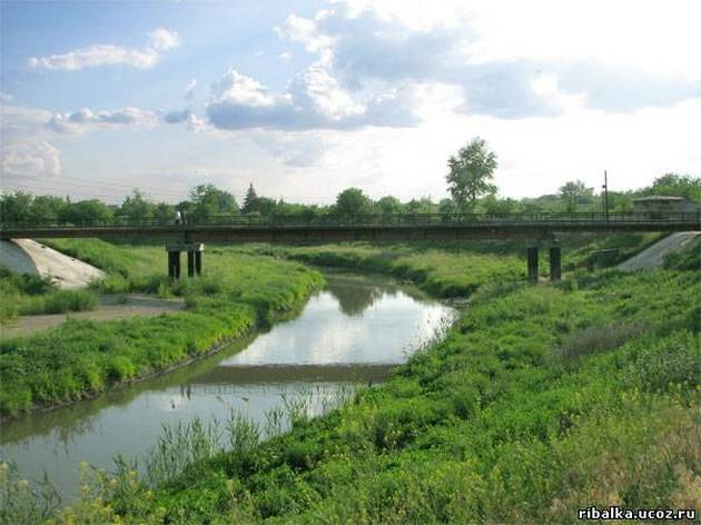 В реке Лугань обнаружены трупы с огнестрельными ранениями