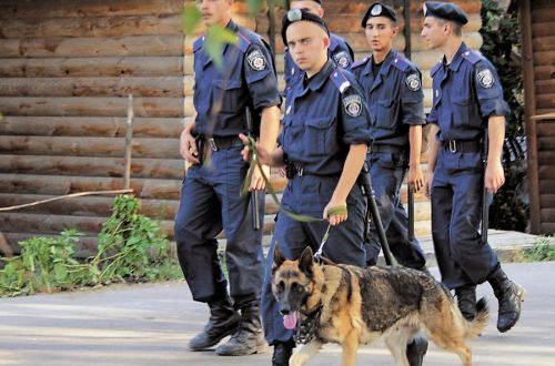 Быть ли закону о карманных армиях