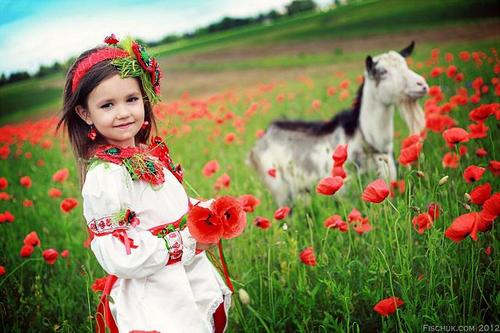 Как Украина отметит День Независимости: парад, цветы и вышиванки