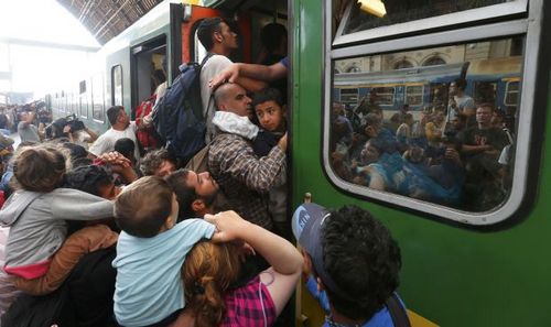 Венгрия из-за мигрантов ввела чрезвычайное положение