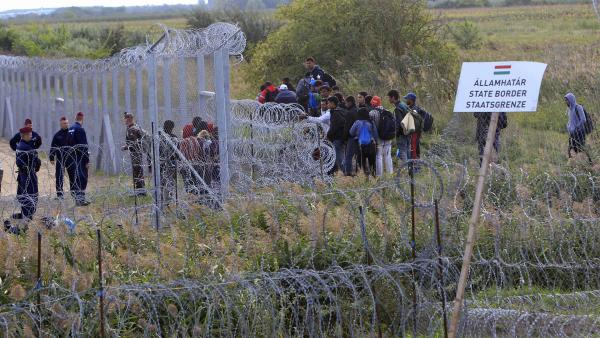Европу пугают нашествием 30-35 млн беженцев