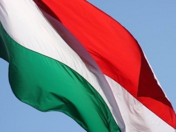 Венгрия заявляет о грубом нарушении прав нацменьшинств на Закарпатье 