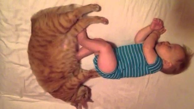 Кот-массажист «поработал» над спящим ребенком. ВИДЕО 