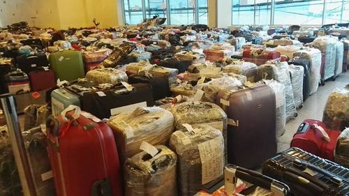 Аэропорт Москвы завален чемоданами из Египта. ФОТО