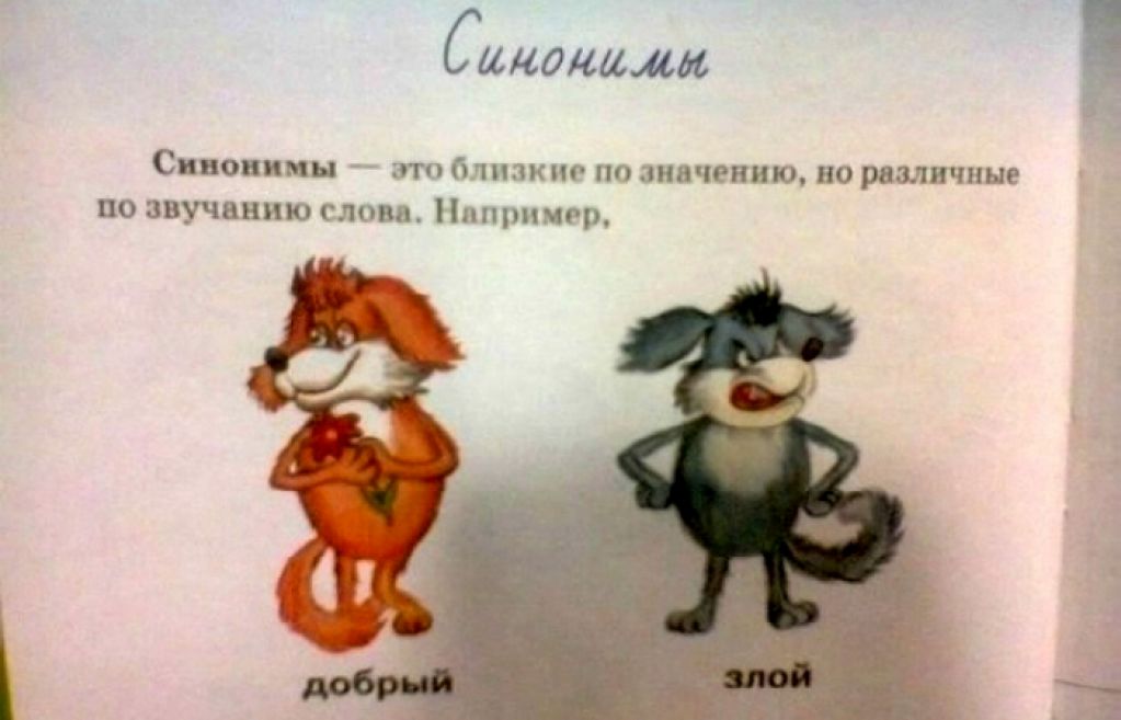 18 ляпов из школьных учебников, которые заставят посмеяться от души. ФОТО