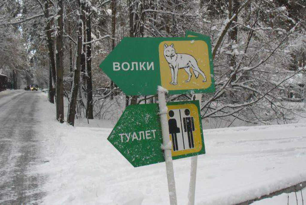 Больная фантазия. Как совмещают несовместимое. ФОТО