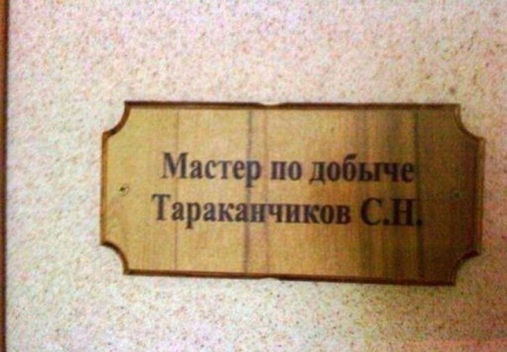 Здорово, когда люди находятся на своём месте. ФОТО