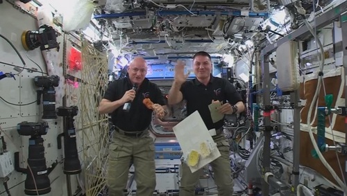 Астронавты показали способ приготовления индейки на МКС. ВИДЕО