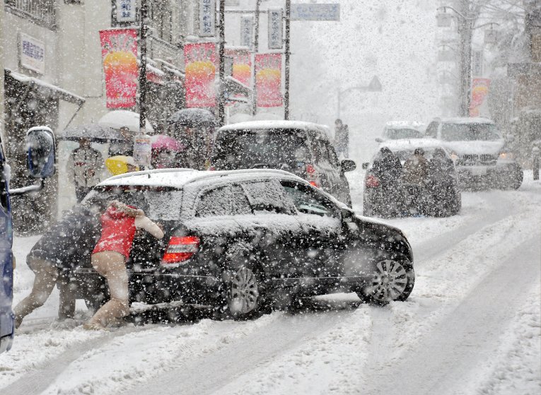 Харьков борется со снегом: аварии, поваленные деревья, закрытые учреждения. ФОТО
