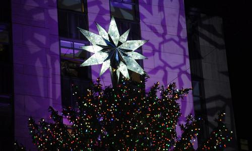 В Нью-Йорке уже зажгли невероятно красивую рождественскую елку. ФОТО