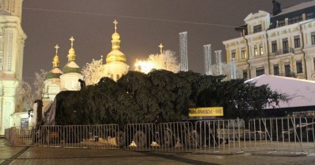В Киеве начали устанавливать главную новогоднюю елку страны. ВИДЕО