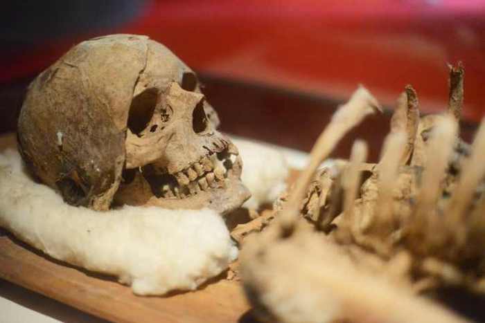 10 недавних археологических находок, которые могут пролить свет на наше прошлое