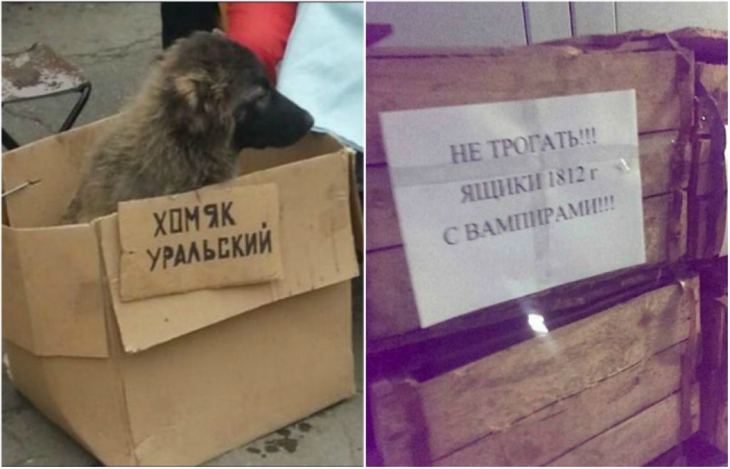 23 смешных объявления, поражающих своей убедительностью. ФОТО
