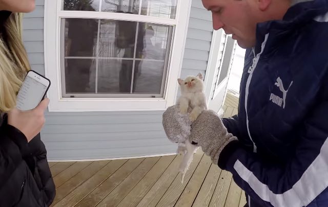 Спасение замерзающего котенка. ВИДЕО 