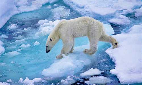 Арктика прогрелась до самых высоких показателей с 1900 года