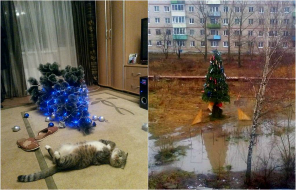 Когда Новый год действительно удался. ФОТО