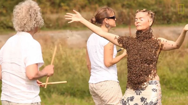 Американка исполнила танец с 10000 пчел на теле. ВИДЕО