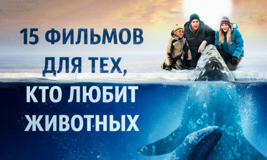 15 душевных фильмов для тех, кто любит животных