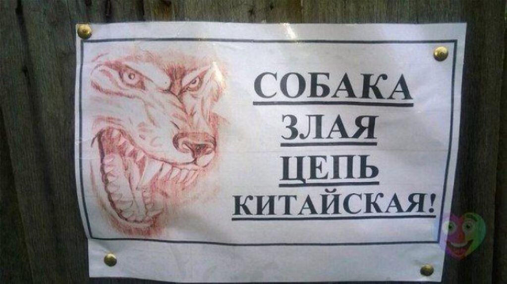 Объявления, мимо которых невозможно пройти. ФОТО