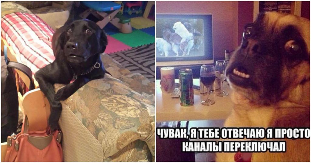 Был пойман с поличным, раскаиваюсь в содеянном! ФОТО