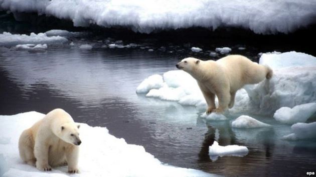 Ученые бьют тревогу: этой зимой арктический лед отказался расти