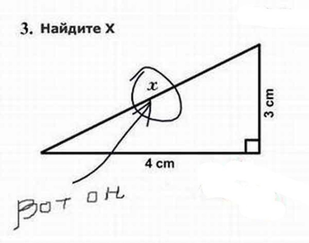 Гениальные ответы детей на контрольных работах. ФОТО