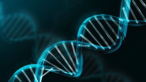 Генетики научились предсказывать «успешность» человека
