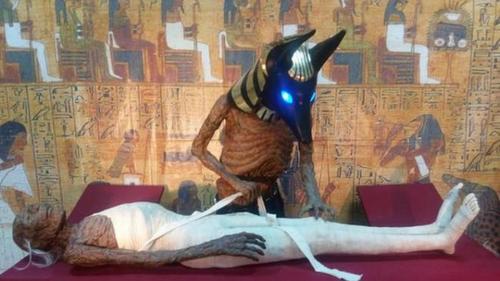 Ученые «присмотрелись» к мумиям и нашли неожиданные «сюрпризы». ФОТО