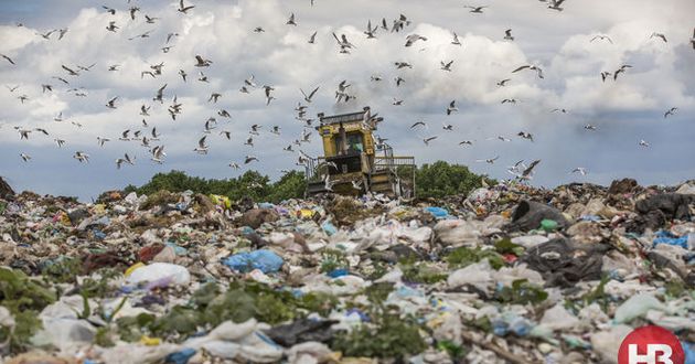 Львовский мусор в Киеве: названы столичные районы, которые больше всего пострадают