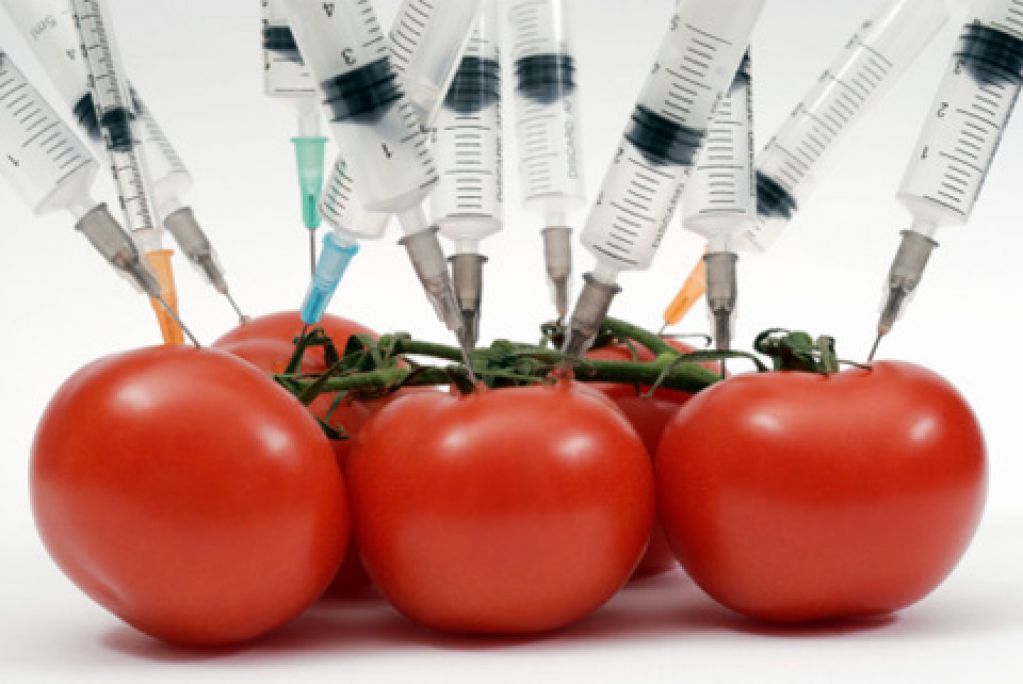 Продукты, о которых вы не догадываетесь, что они генномодифицированы