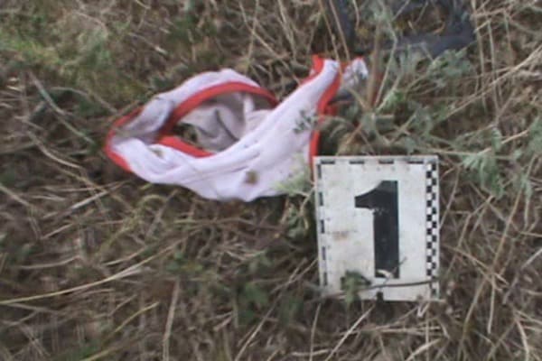 Стали известны шокирующие подробности убийства девочки в Лощиновке