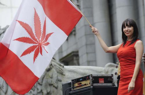 Канада сделала шаг в сторону легализации медицинской марихуаны