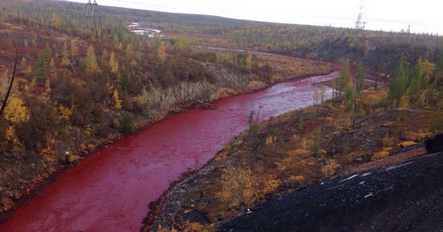 Кара египетская: река в России стала кровавой. Шокирующие ФОТО